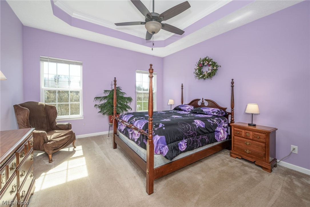 3564 Shady Timber Drive Twinsburg OH 44087