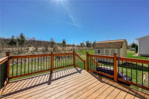 3564 Shady Timber Drive Twinsburg OH 44087