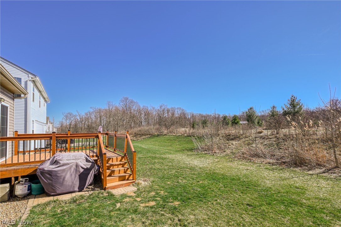 3564 Shady Timber Drive Twinsburg OH 44087