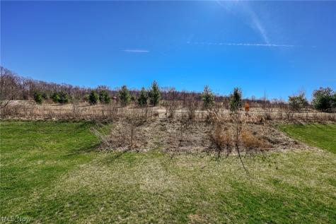 3564 Shady Timber Drive Twinsburg OH 44087