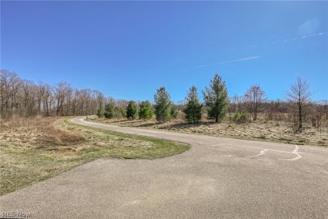 3564 Shady Timber Drive Twinsburg OH 44087