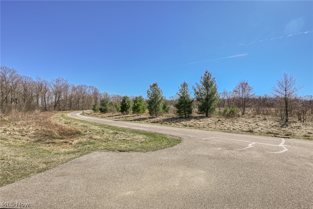 3564 Shady Timber Drive Twinsburg OH 44087