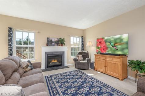 3564 Shady Timber Drive Twinsburg OH 44087