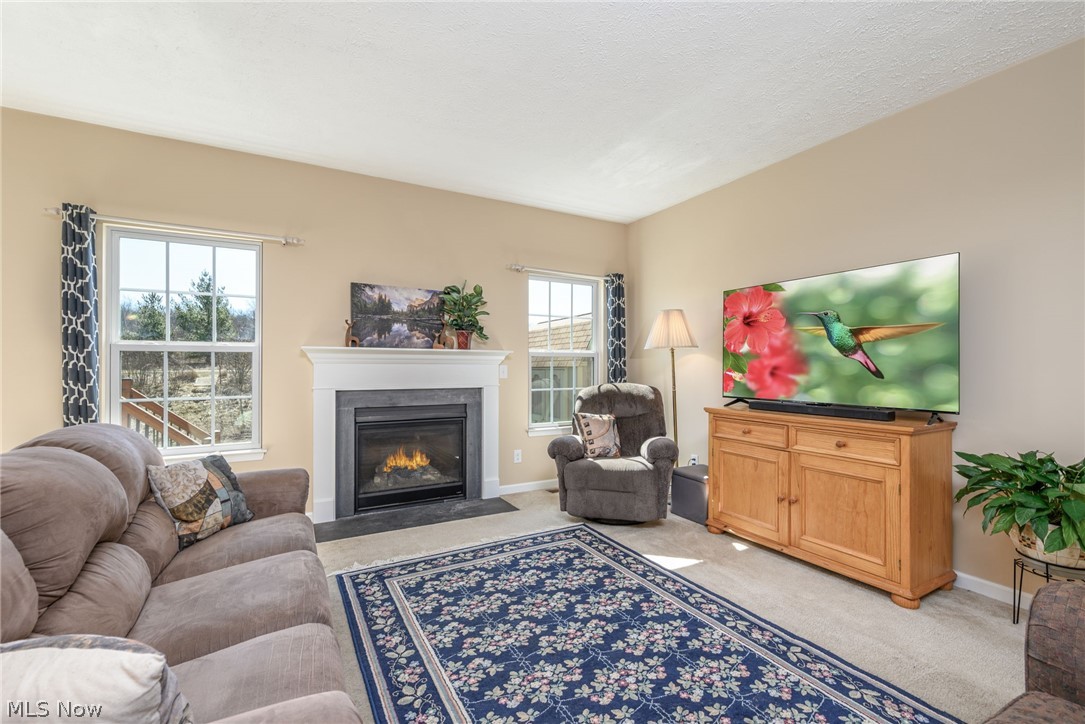 3564 Shady Timber Drive Twinsburg OH 44087