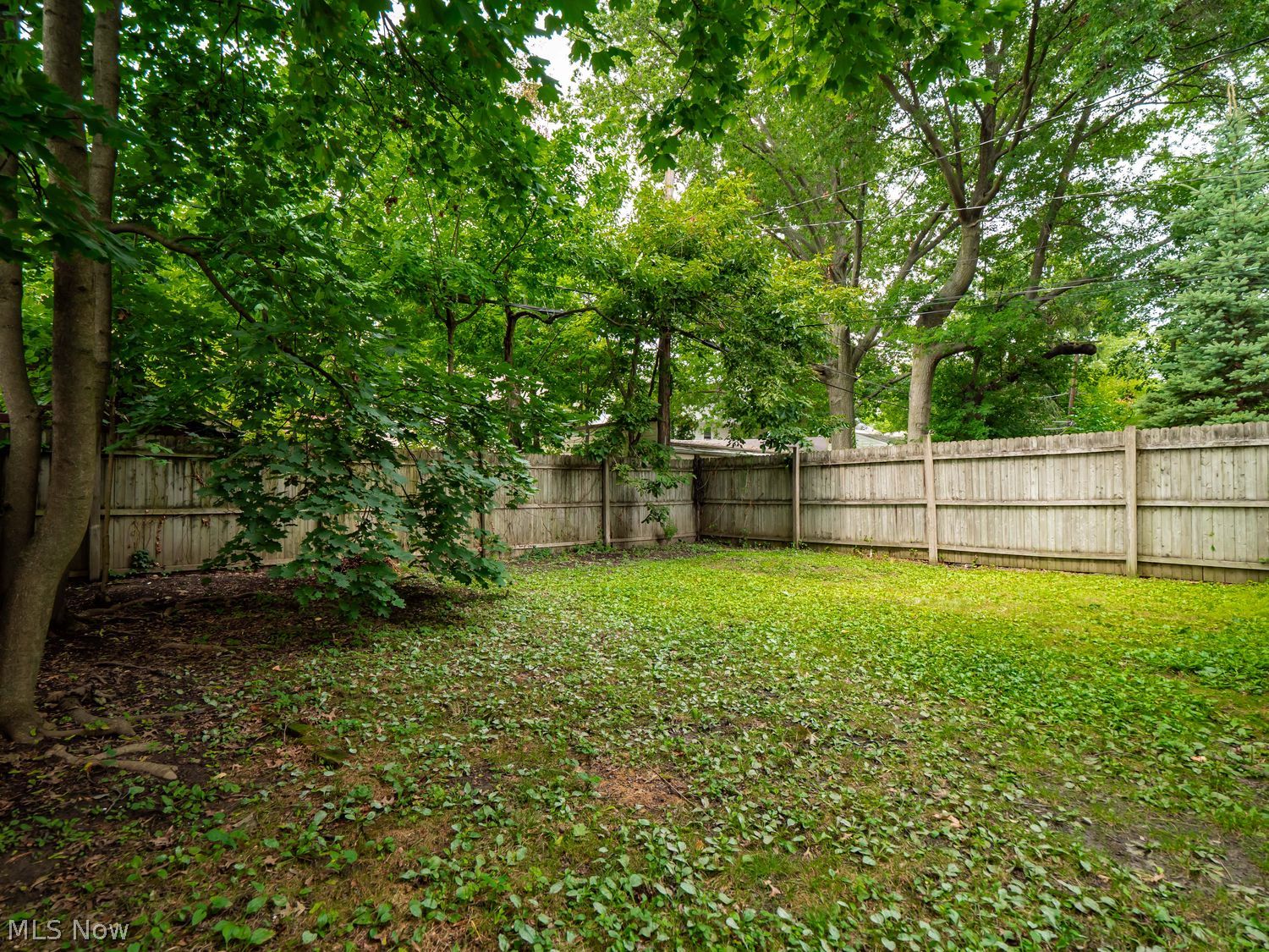 2236 Maplewood Road Cleveland Heights OH 44118