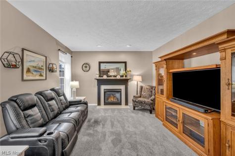 979 Lonetree Court Brunswick OH 44212