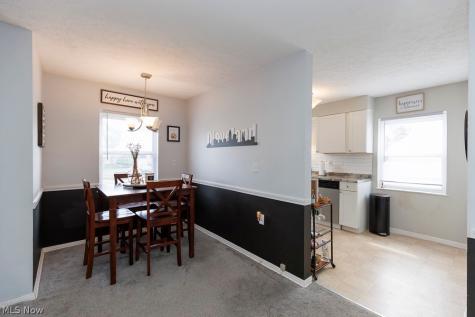 521 Cambridge Avenue Elyria OH 44035