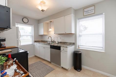 521 Cambridge Avenue Elyria OH 44035