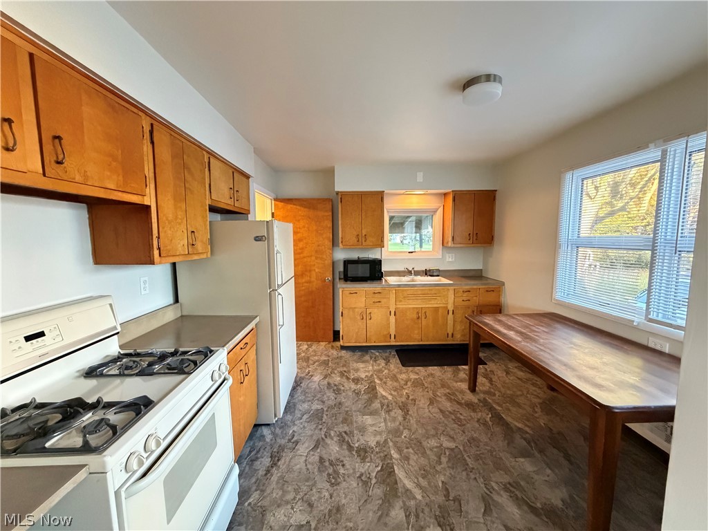 676 Lucille Drive Elyria OH 44035