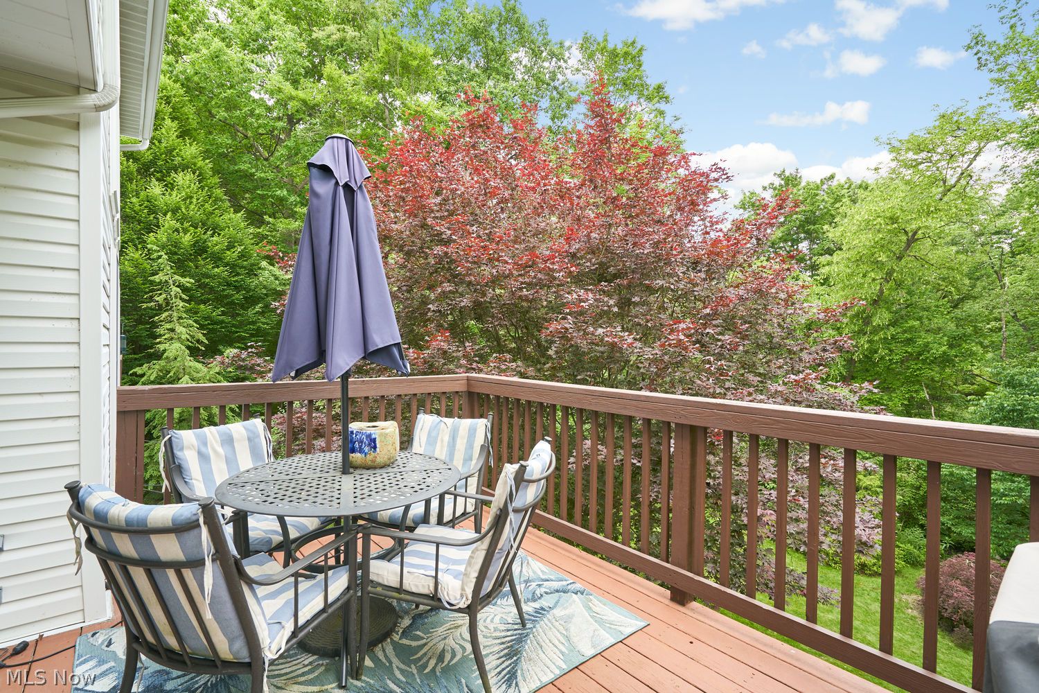726 Brentwood Boulevard Akron OH 44321
