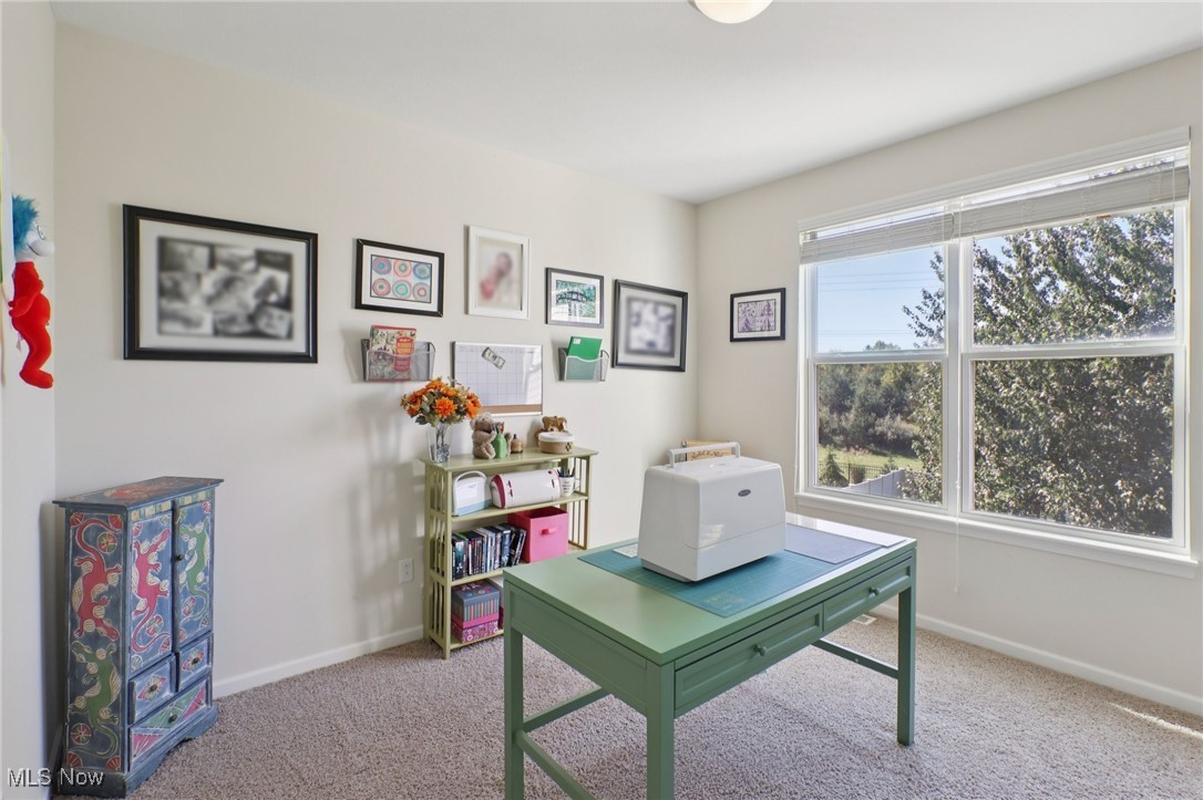 1461 Parkview Lane Broadview Heights OH 44147