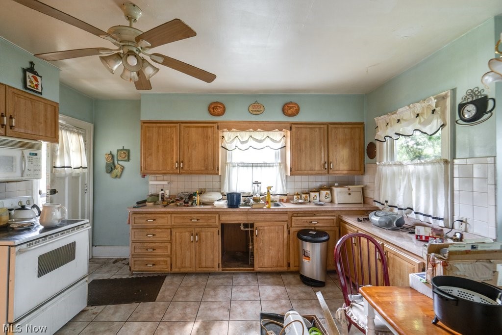333 Trigonia Drive Akron OH 44302