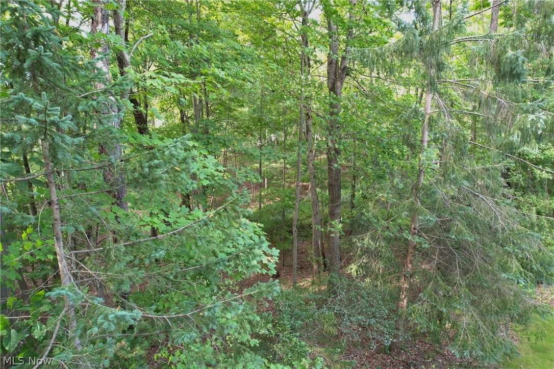 12527 Concord Hambden Road Chardon OH 44024