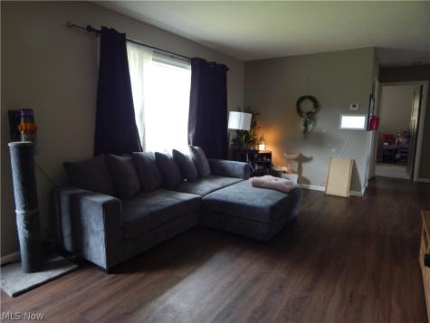 107 Grandview Drive Lodi OH 44254