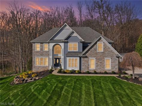 253 Anne Marie Court Hinckley OH 44233