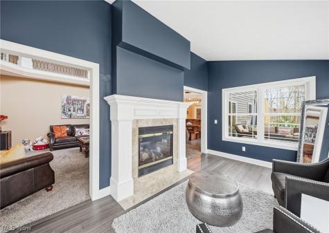 253 Anne Marie Court Hinckley OH 44233