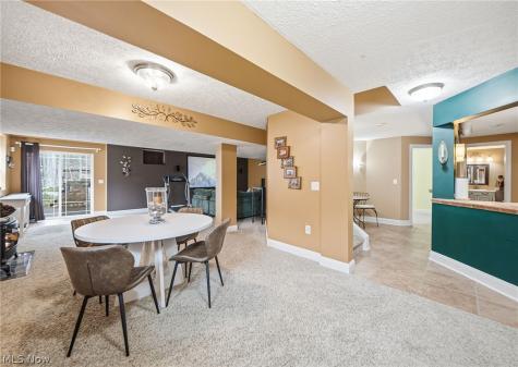 253 Anne Marie Court Hinckley OH 44233