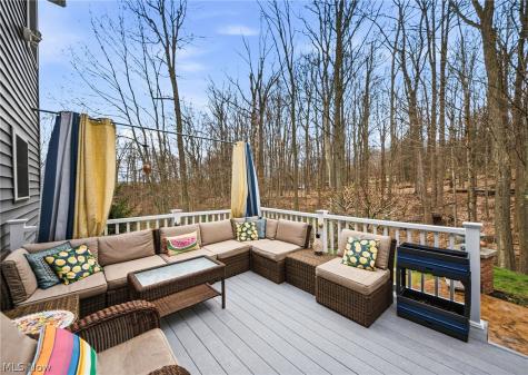 253 Anne Marie Court Hinckley OH 44233