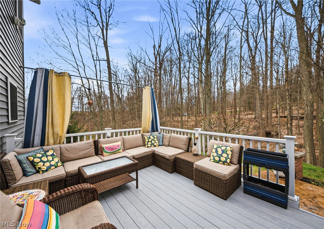 253 Anne Marie Court Hinckley OH 44233