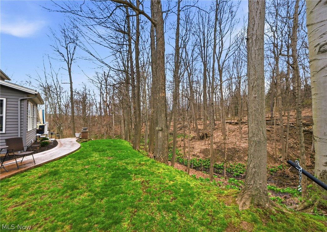 253 Anne Marie Court Hinckley OH 44233