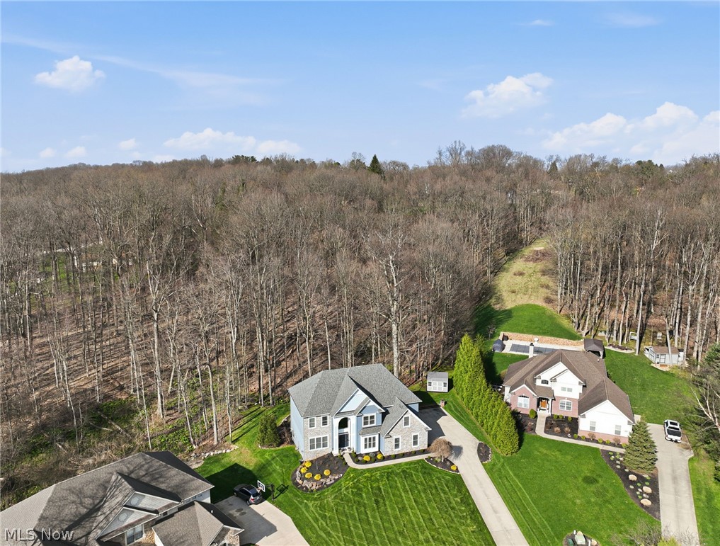 253 Anne Marie Court Hinckley OH 44233