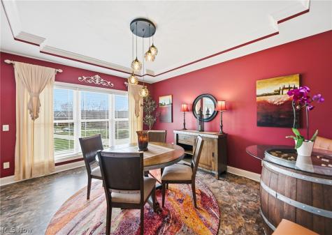 253 Anne Marie Court Hinckley OH 44233