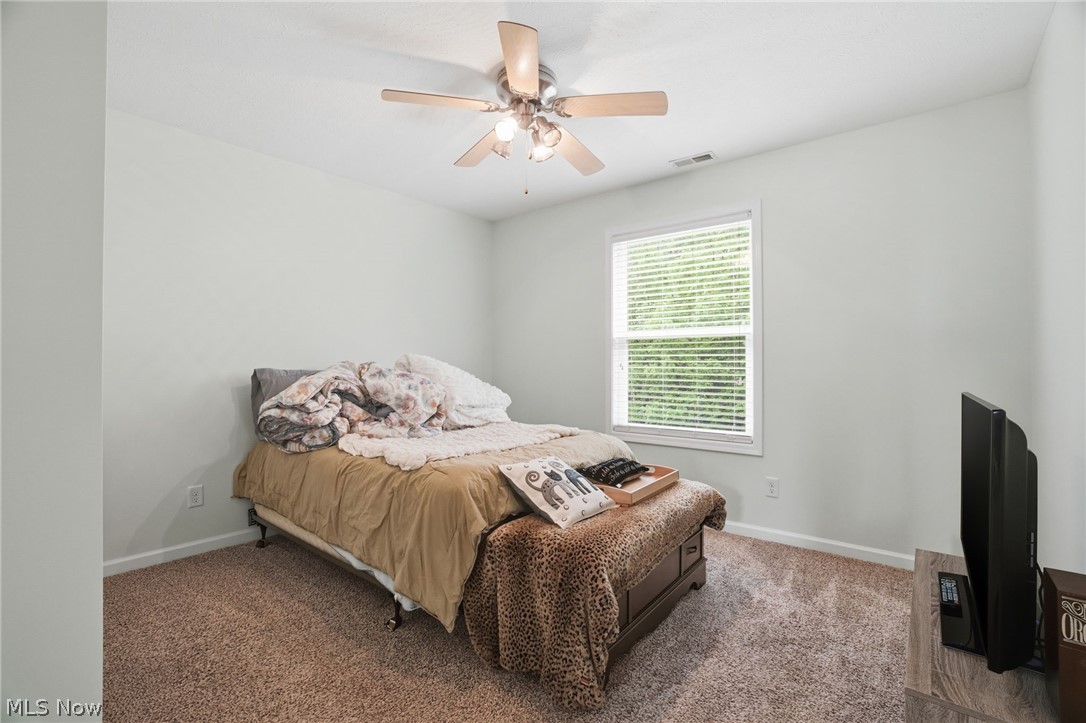 1397 Searay Cove Painesville OH 44077