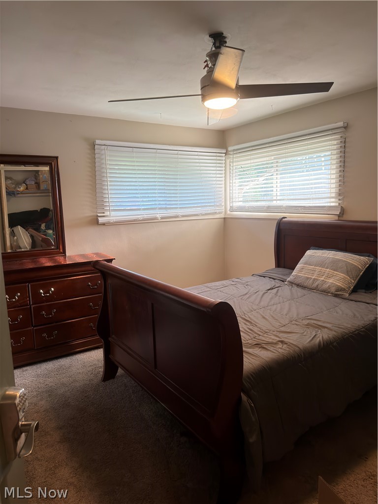10000 Delsy Drive North Royalton OH 44133