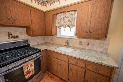 5252 Karen Isle Drive Willoughby OH 44094