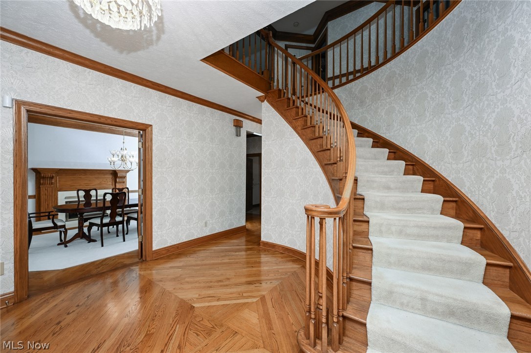 545 San Pier Drive Akron OH 44333