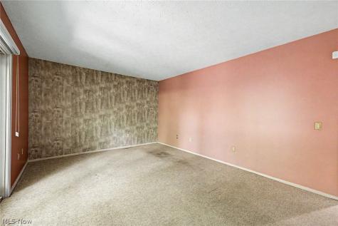 13192 Olympus Way Strongsville OH 44149