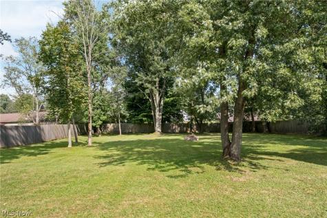 2985 Carl Street Norton OH 44203
