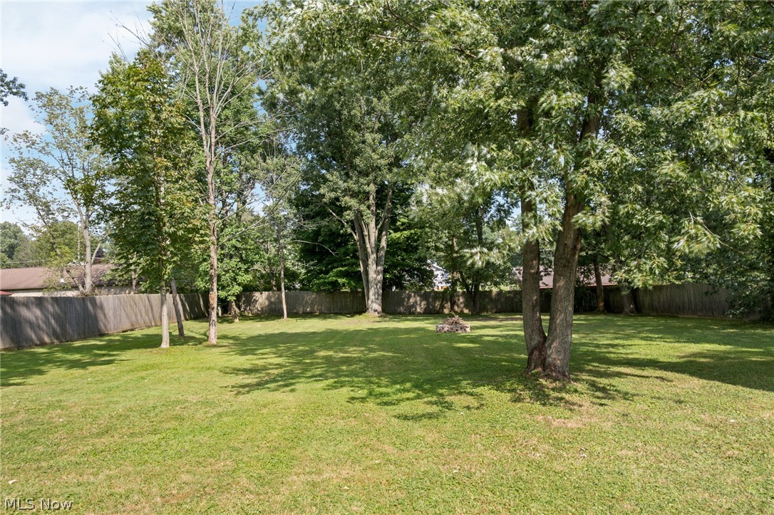 2985 Carl Street Norton OH 44203