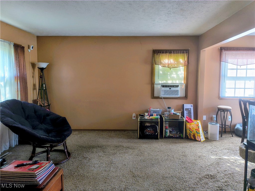 10721 Englewood Avenue Cleveland OH 44108