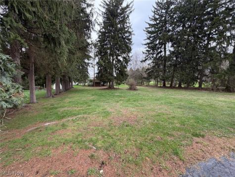 1133 Bellview Street NE Canton OH 44721