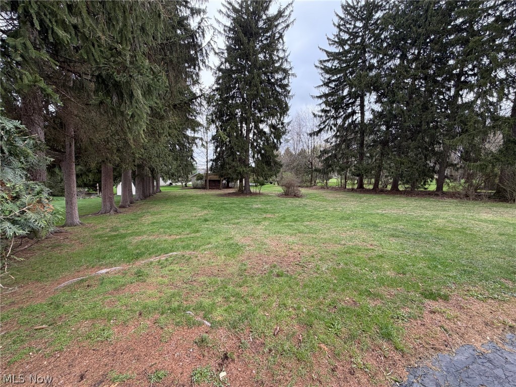 1133 Bellview Street NE Canton OH 44721