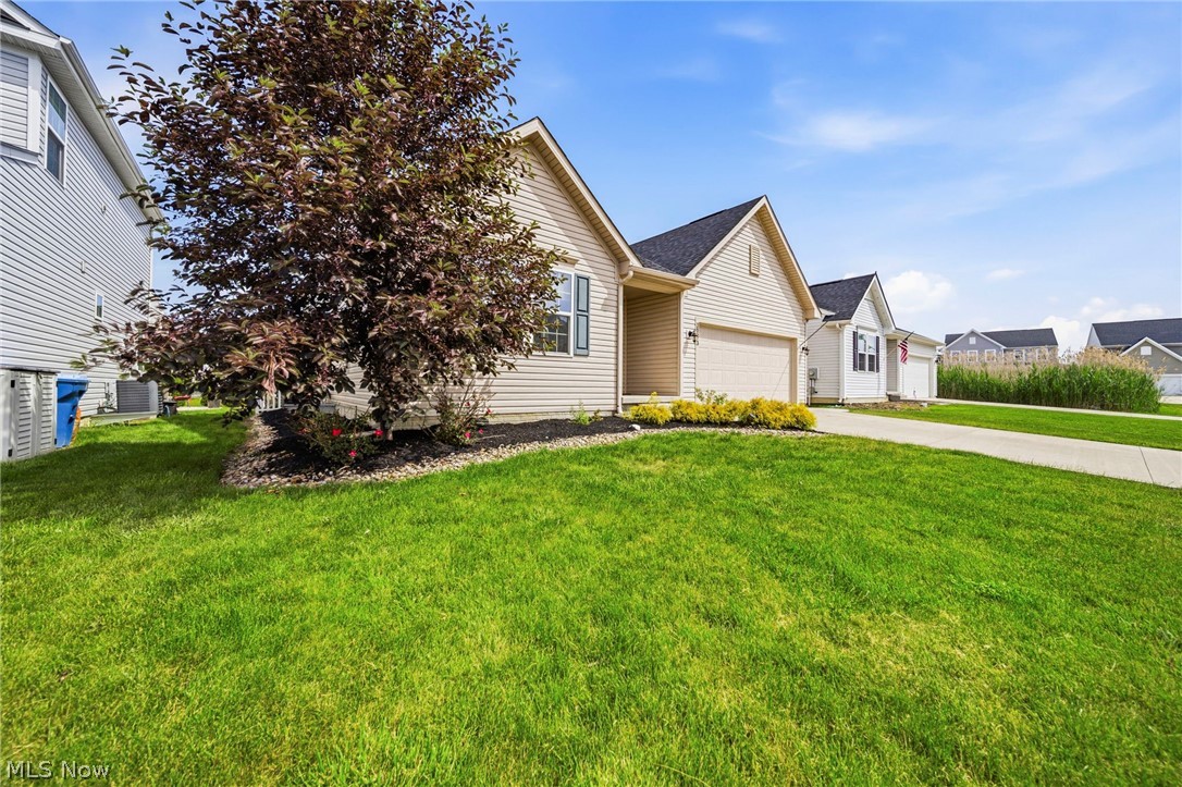 38573 Ranally Way Willoughby OH 44094