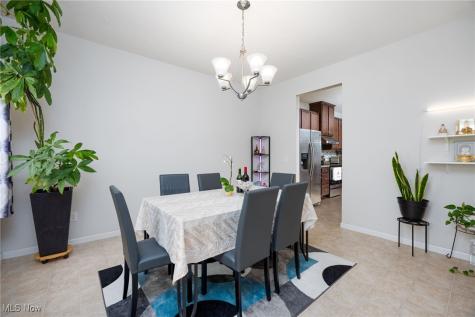 38488 Briar Lakes Drive Avon OH 44011