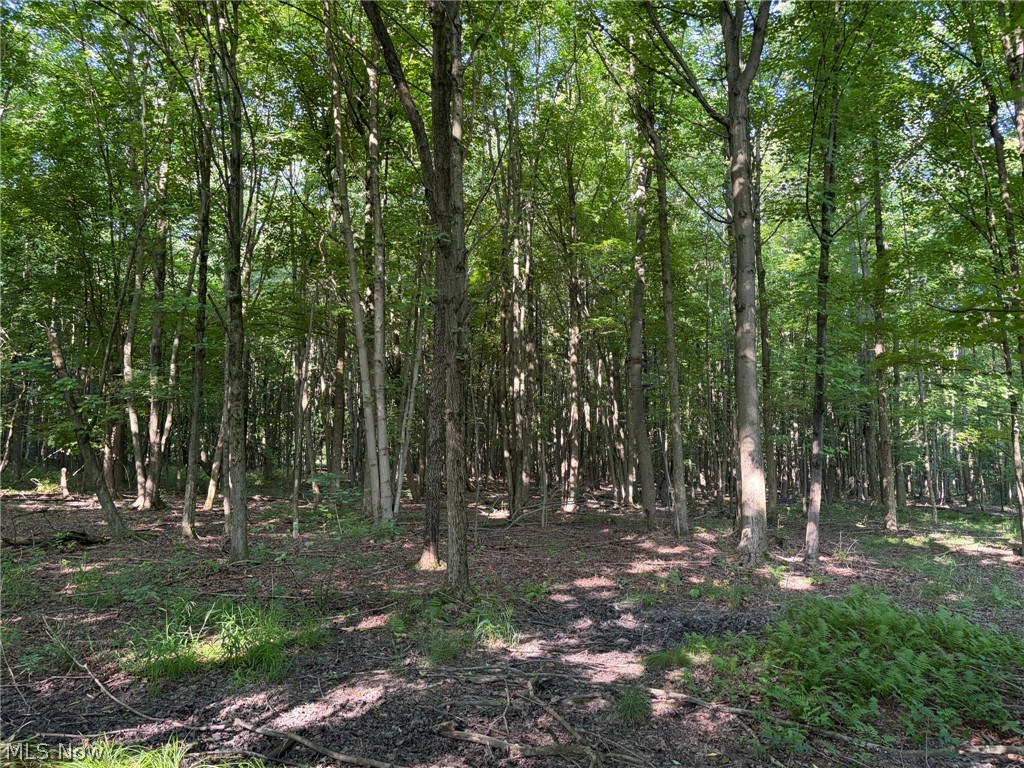 3199 State Route 7 Fowler OH 44418