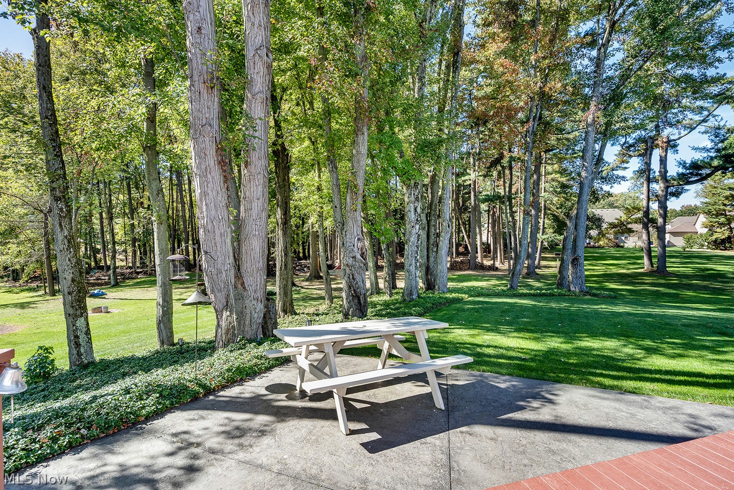 4746 S Raccoon Road Canfield OH 44406