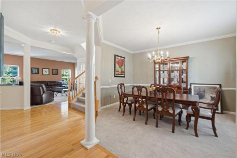 1829 Curry Lane Twinsburg OH 44087