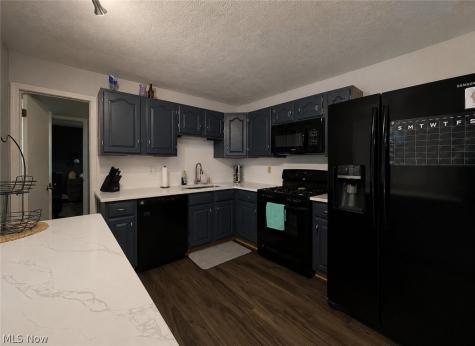 8289 Findley Drive Mentor OH 44060
