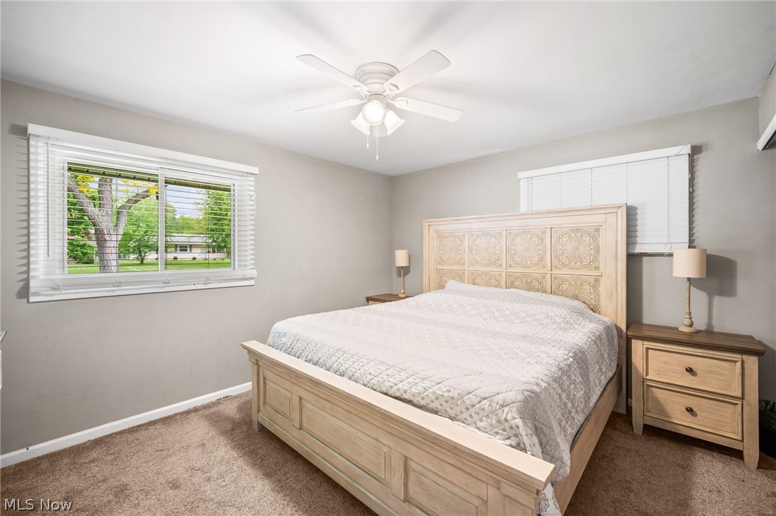 8498 Hallnorth Drive Mentor OH 44060