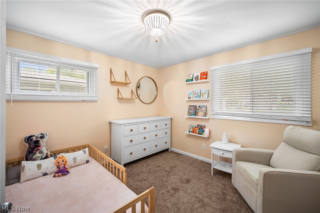8498 Hallnorth Drive Mentor OH 44060