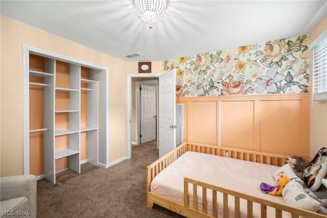 8498 Hallnorth Drive Mentor OH 44060