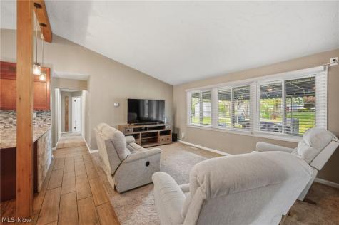 8498 Hallnorth Drive Mentor OH 44060