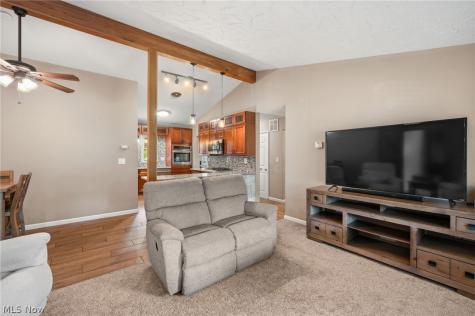 8498 Hallnorth Drive Mentor OH 44060
