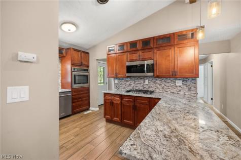 8498 Hallnorth Drive Mentor OH 44060