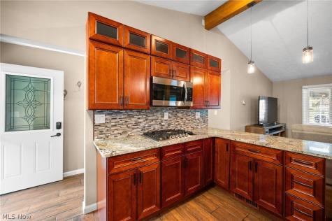 8498 Hallnorth Drive Mentor OH 44060