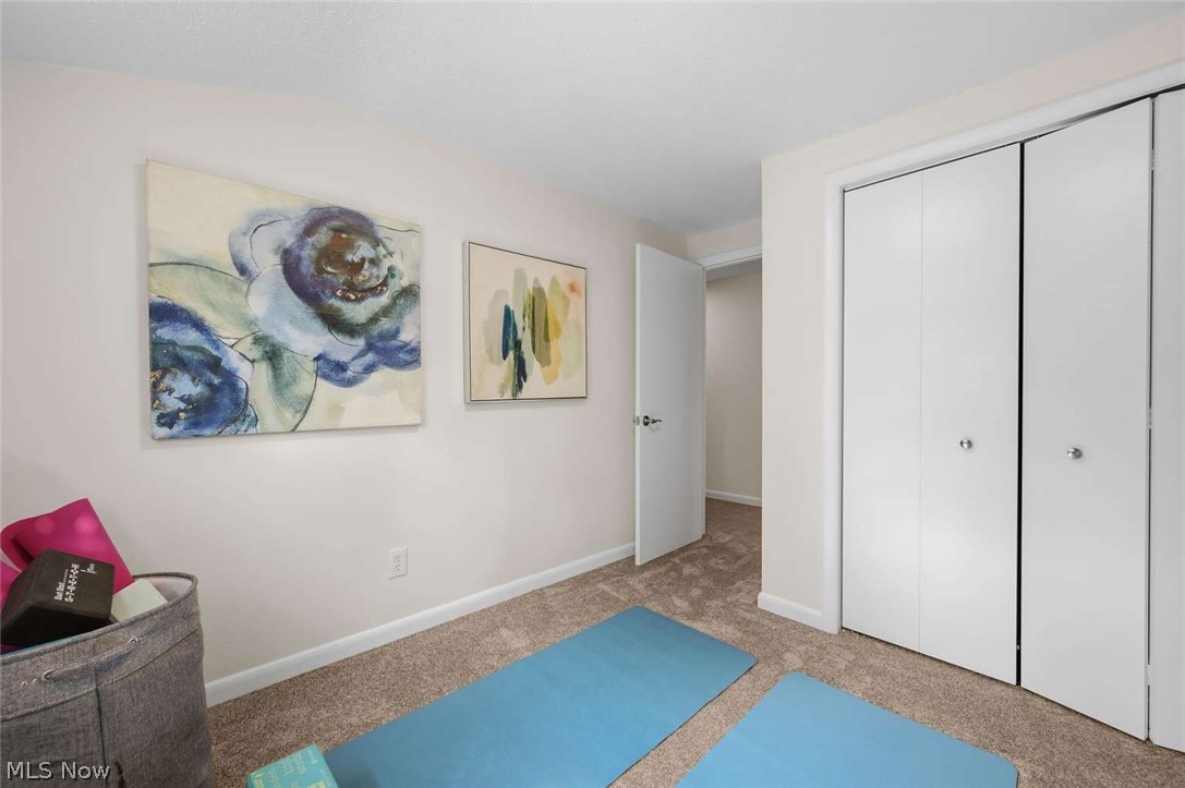 1091 Dorsh Road South Euclid OH 44121